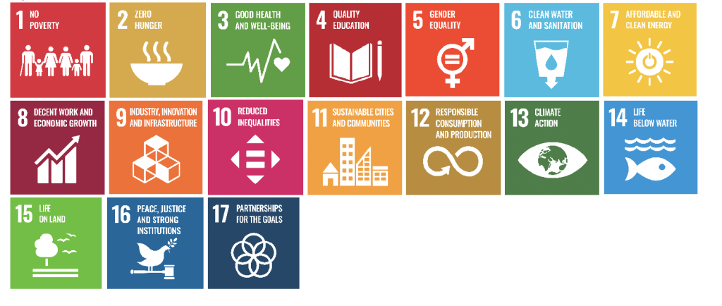 UN SDG Katingan Peatland Restoration